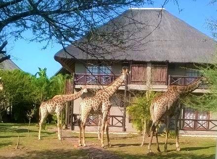 Rhulani Kruger Villa Marloth Park Εξωτερικό φωτογραφία